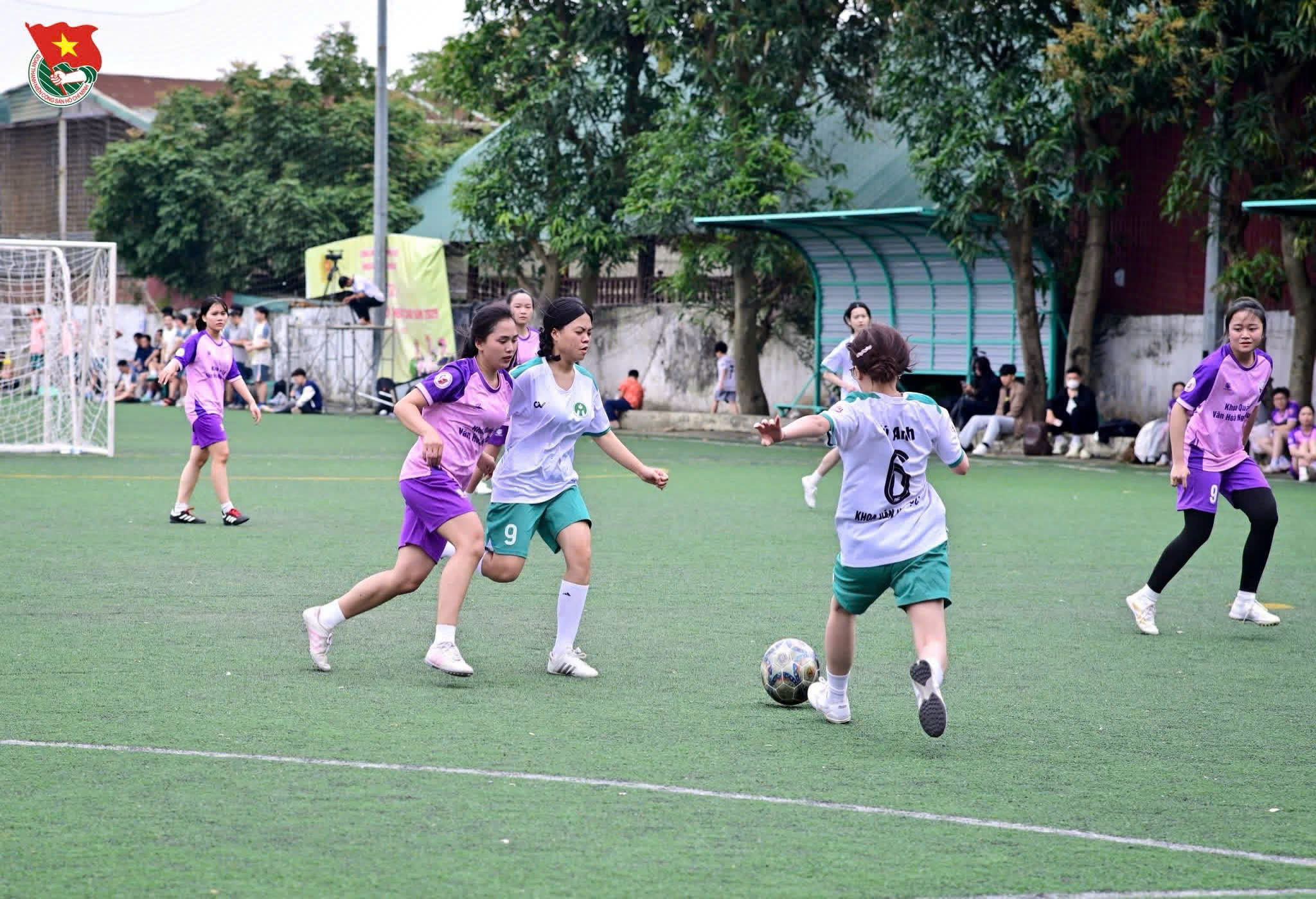 Lương Tú Anh: 
